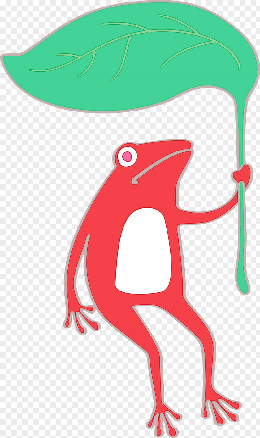 Birds Tree Frog Cartoon Frogs Leaf PNG