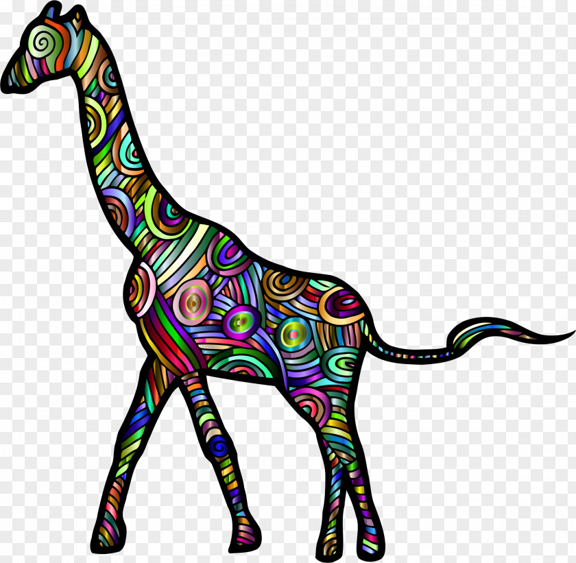 Giraffe Okapi Clip Art PNG