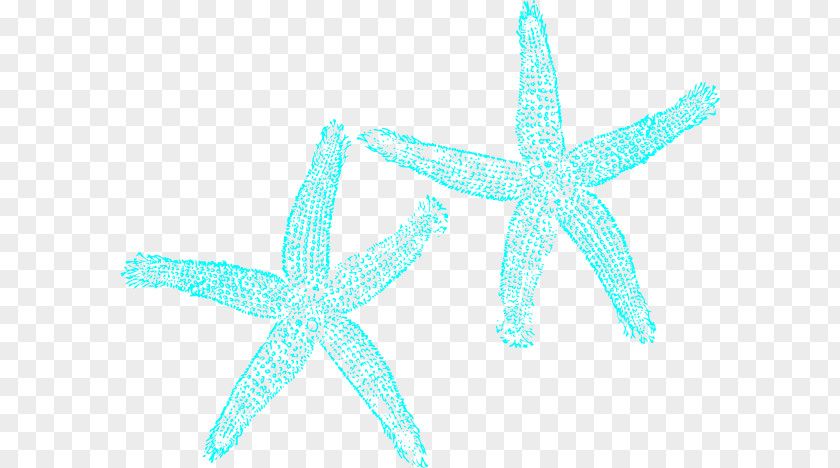 Turquoise Cliparts Starfish Clip Art PNG