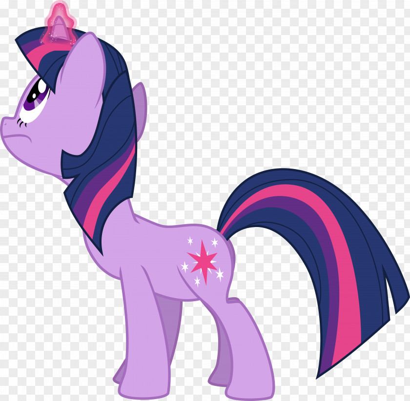Twilight Sparkle Rainbow Dash Pinkie Pie Applejack Spike PNG