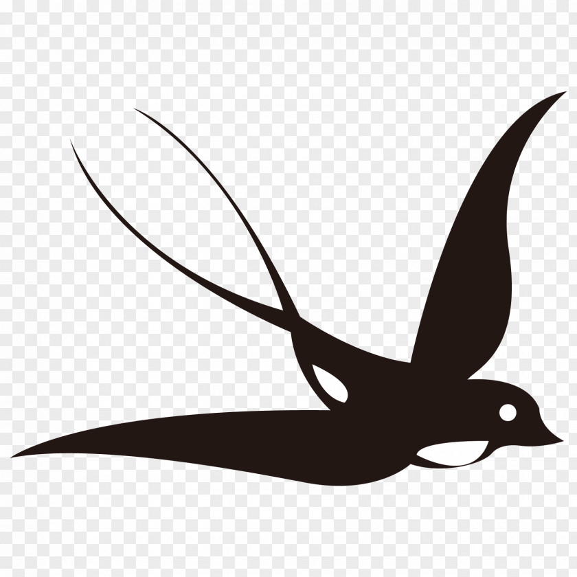 Bird Swallow Illustration Image Vector Graphics PNG