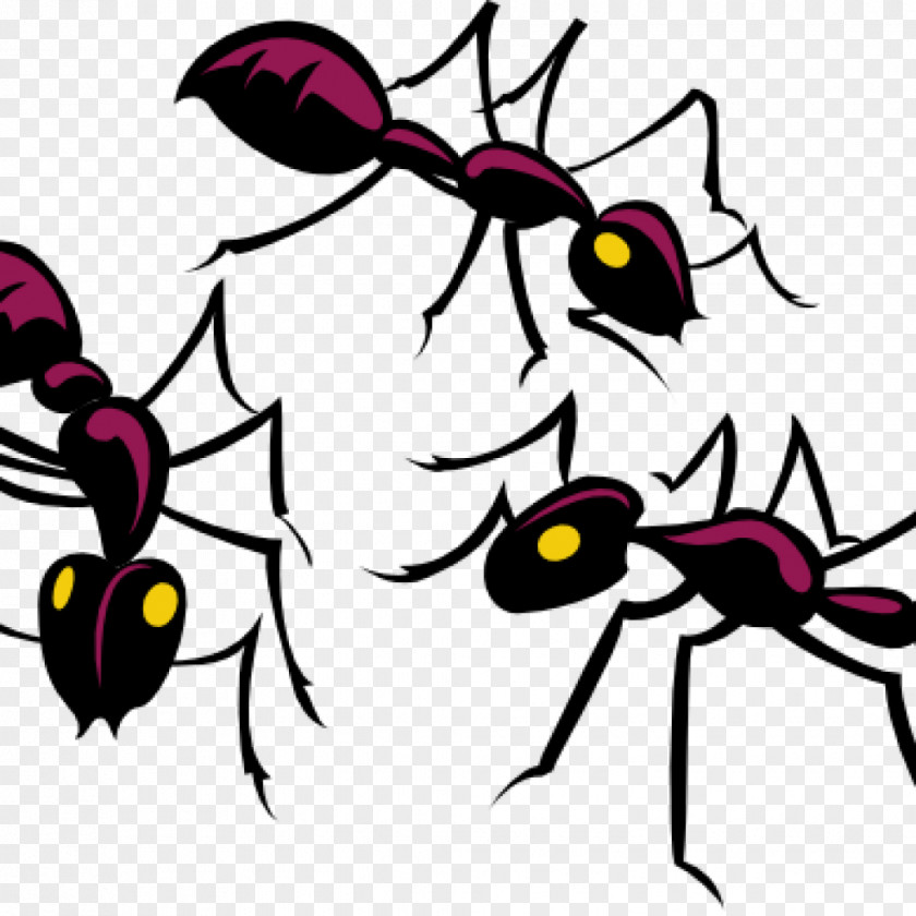 Insect Black Garden Ant Clip Art Vector Graphics PNG