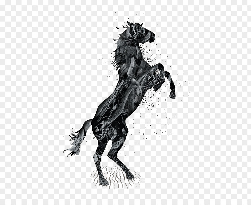Jumping Wildlife Horse Stallion Mane Drawing PNG