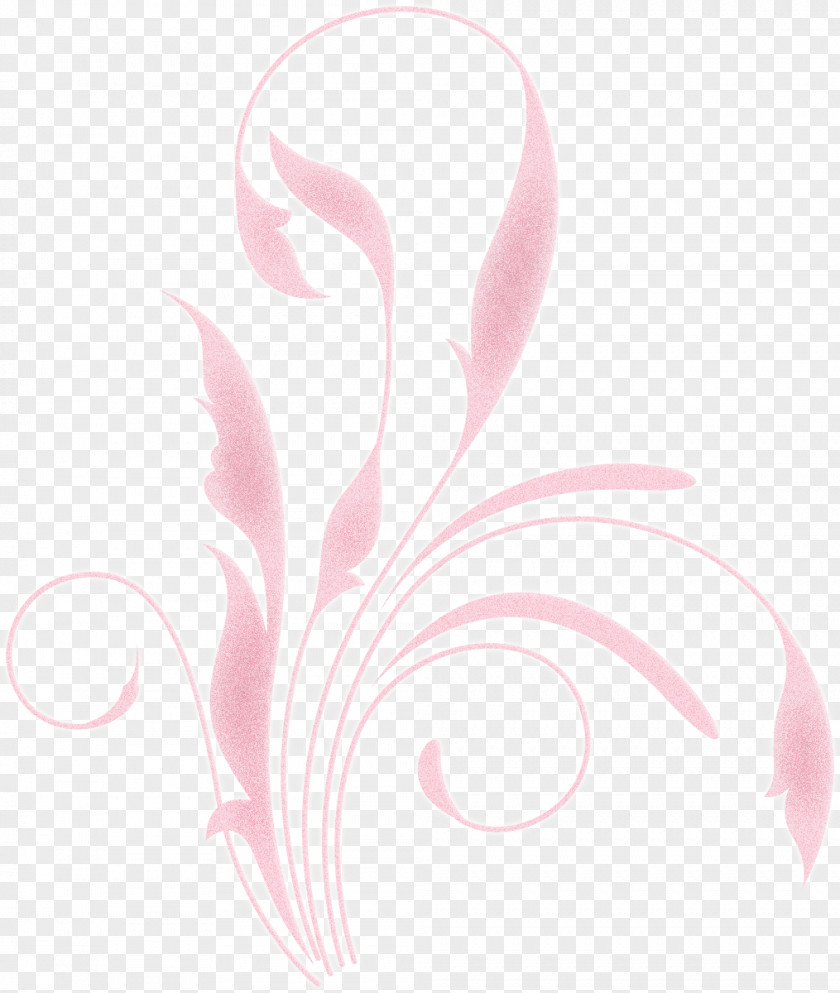 Nose Drawing Feather Desktop Wallpaper Pink M PNG