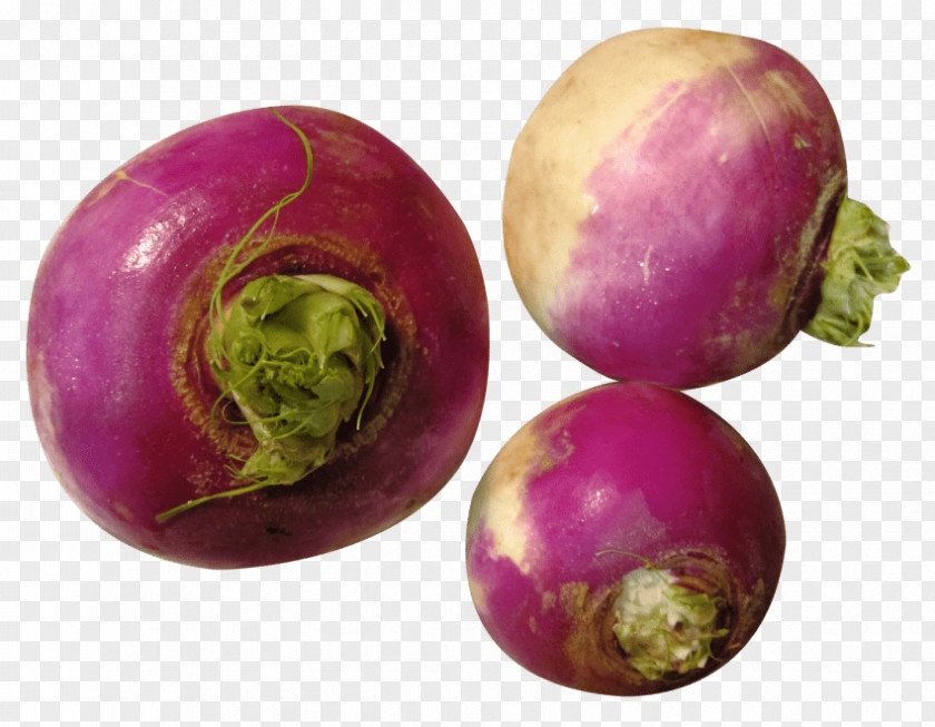 Vegetable Turnip Rutabaga Root Vegetables PNG