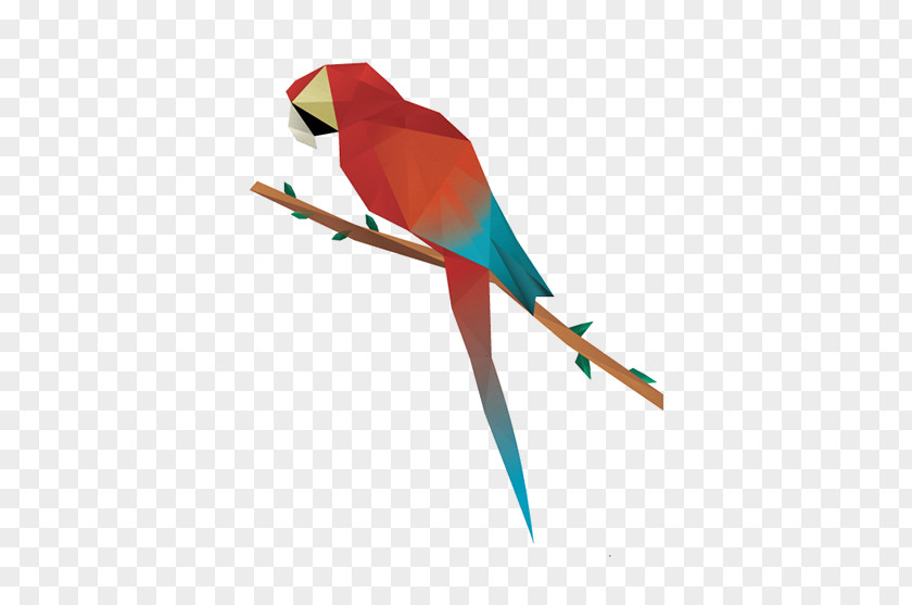 Bird Hummingbird Parrot Polygon Geometry PNG