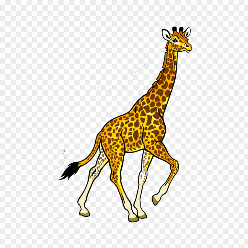 Giraffe Fauna Of Africa Baby Jungle Animals Clip Art PNG