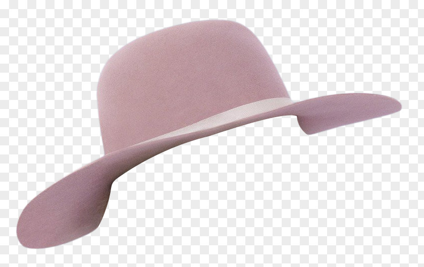 Hat Joanne Just Another Day Album Cap PNG