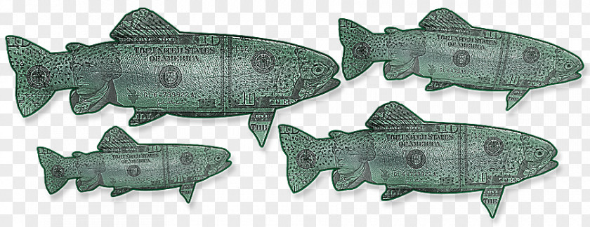 Lake Trout Squaliform Sharks Animal Fish PNG