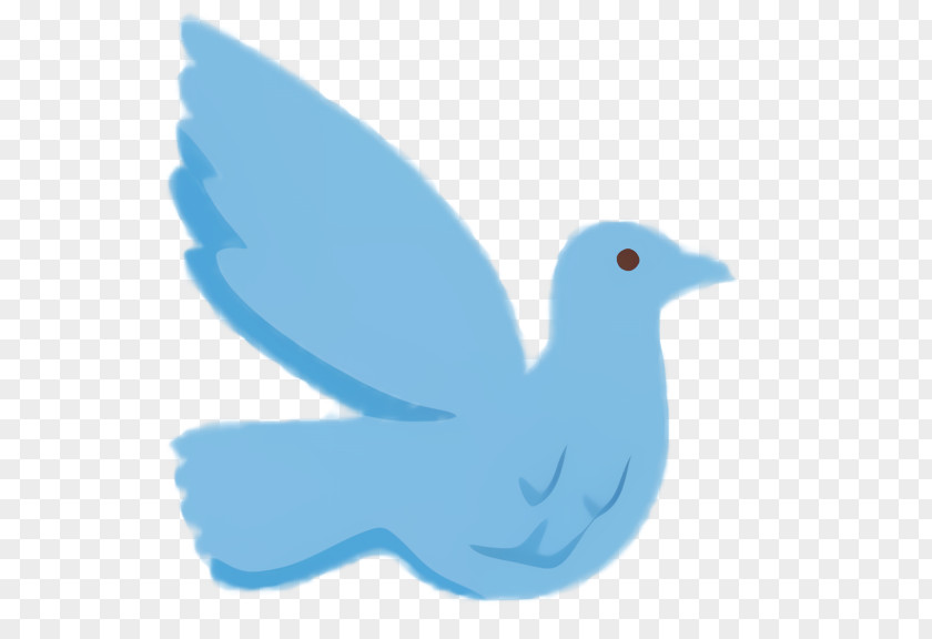 Logo Tail Bird PNG