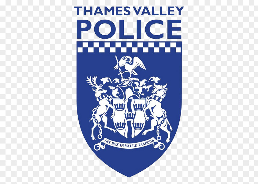 Police Thames Valley Officer Chief Constable Wedding Of Princess Eugenie And Jack Brooksbank PNG