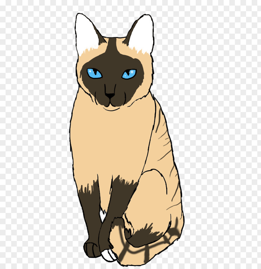 Siamese Whiskers Burmese Cat Domestic Short-haired Tabby Wildcat PNG