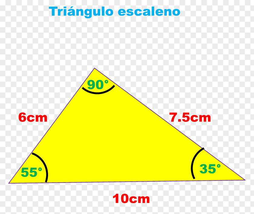 Triangle Escalè Area Scalene Muscles PNG