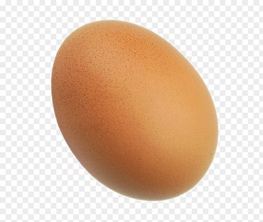 Big Bird Egg PNG