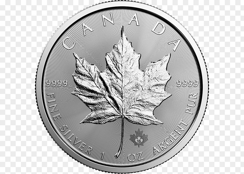 Canada Canadian Silver Maple Leaf Gold PNG