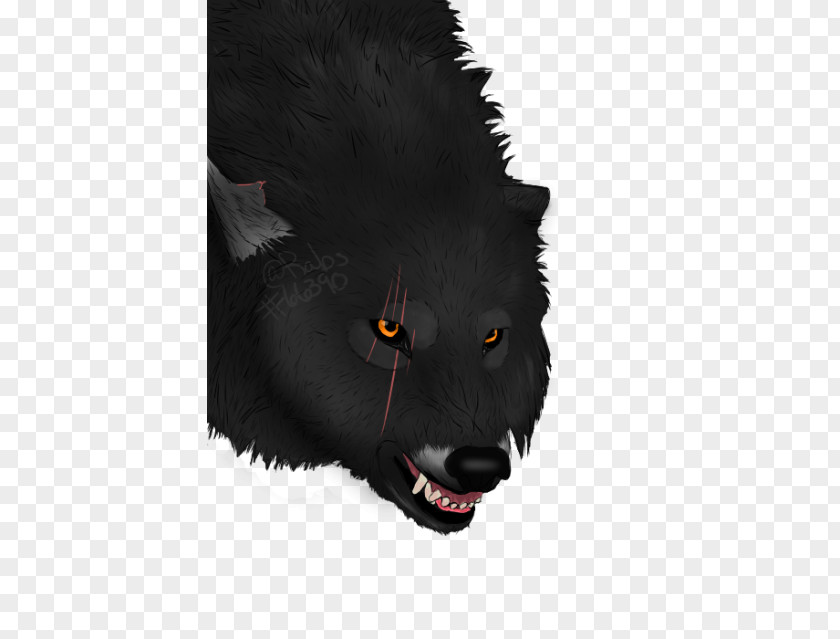Cat Whiskers Fur Snout Werewolf PNG