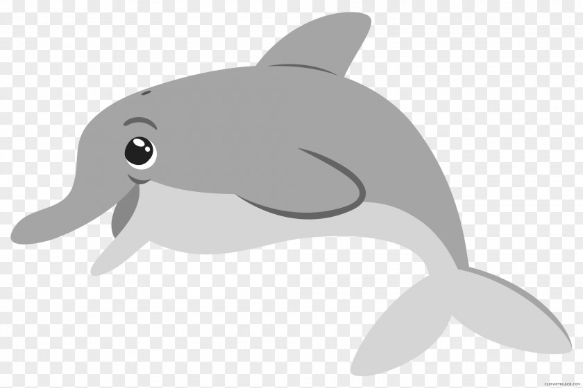 Dolphin Common Bottlenose Clip Art Illustration Tucuxi PNG