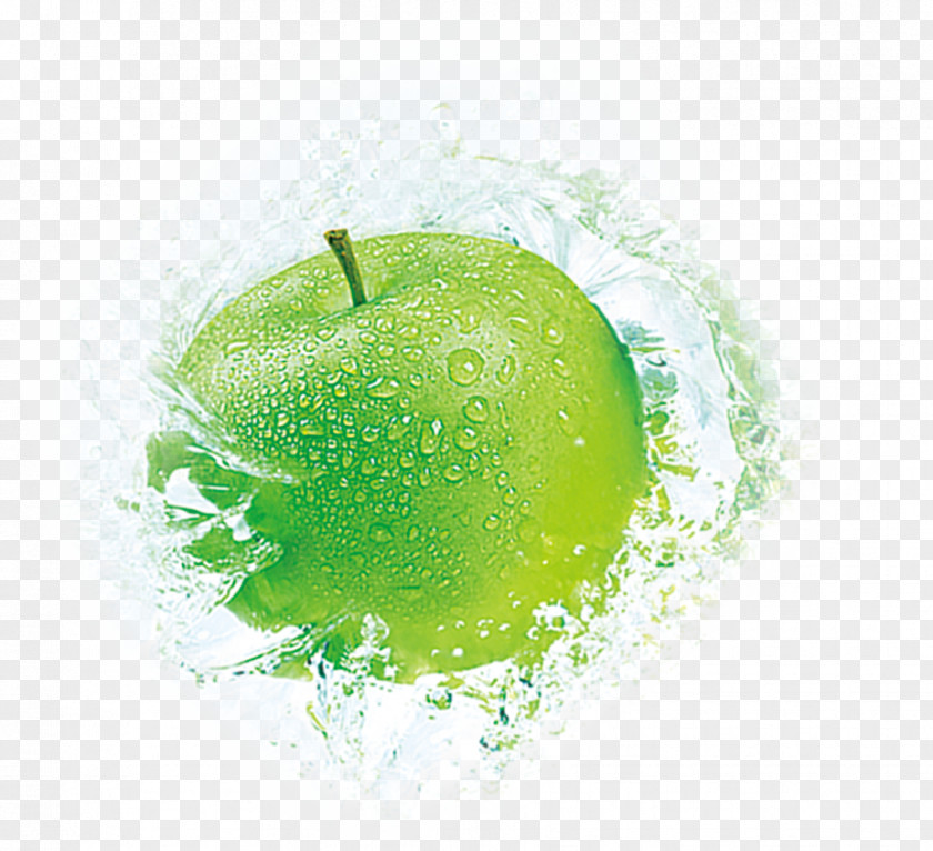 Green Apple Element Cyan Granny Smith PNG