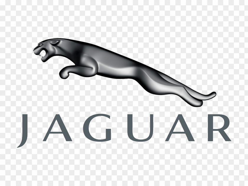 Jaguar Logo Cars E-Type XK PNG