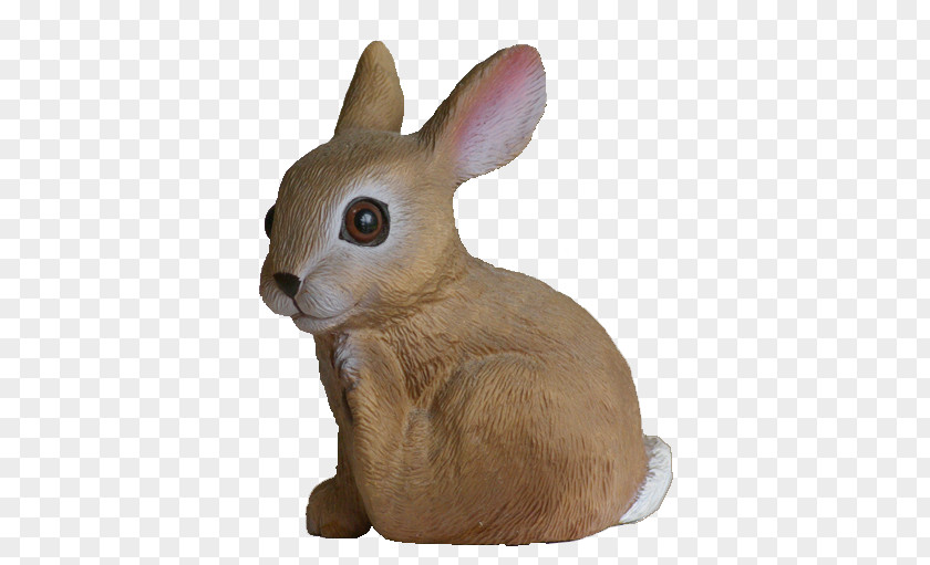 Mmmm Domestic Rabbit Hare Whiskers Snout Stuffed Animals & Cuddly Toys PNG