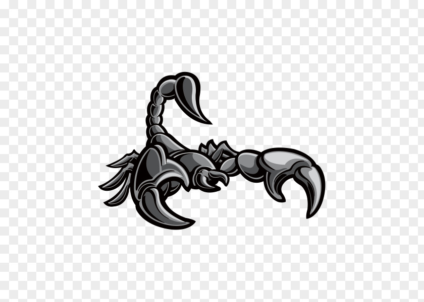 Scorpion The PNG