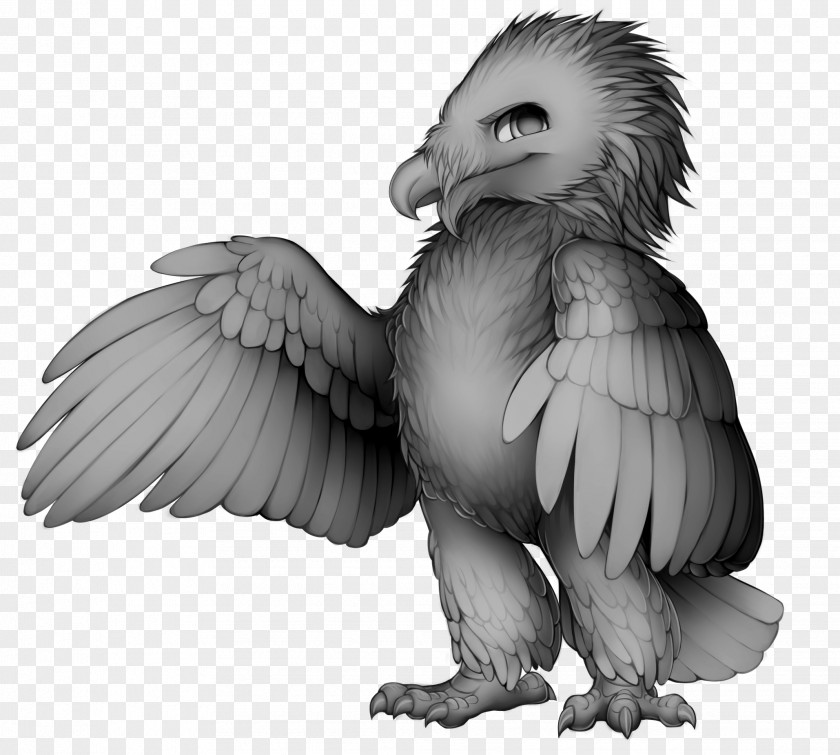 Bird Of Prey Beak Bald Eagle Owl PNG