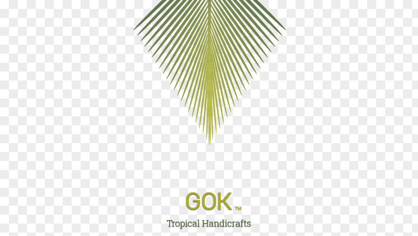 Cocos Nucifera Coconut Logo Graphic Design Leaf Art PNG