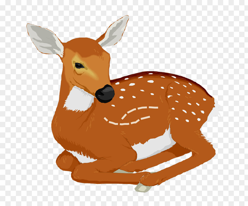 Deer White-tailed Clip Art PNG