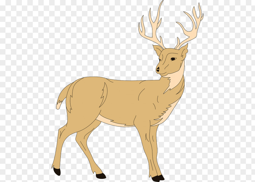 Deer White-tailed Moose Clip Art Openclipart PNG