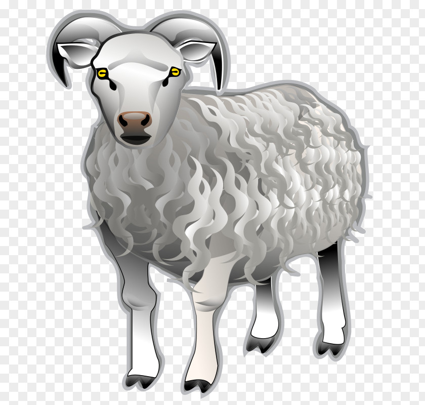 Gray Long-haired Goat Cartoon Dall Sheep Clip Art PNG
