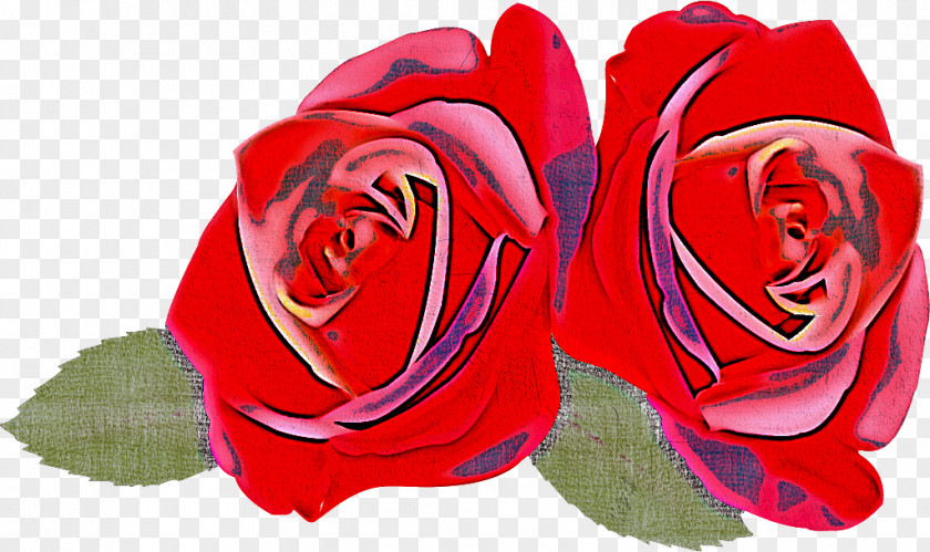 Two Flowers Roses Valentines Day PNG