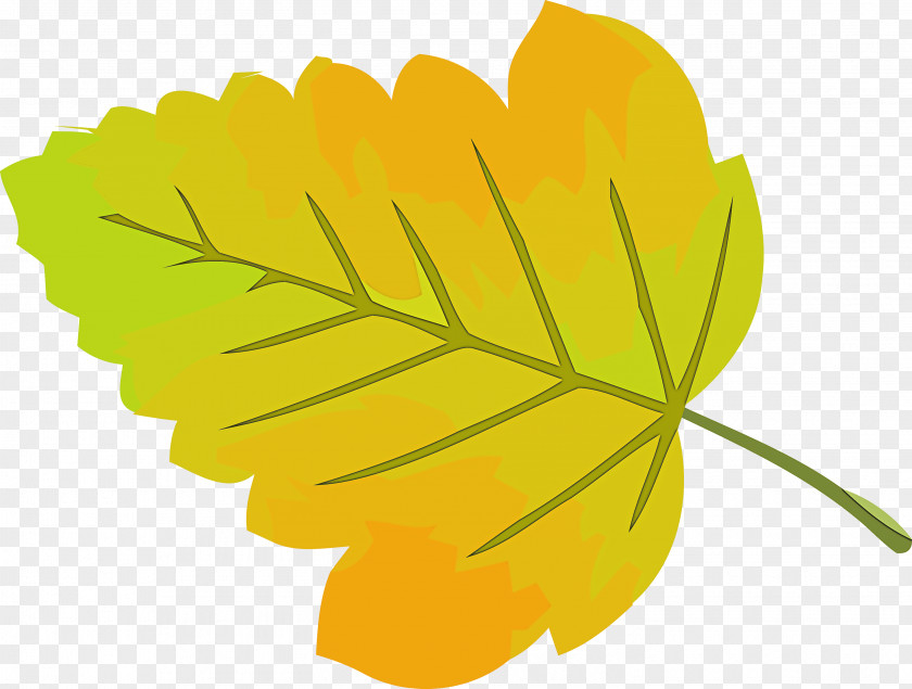 Autumn Leaf Yellow PNG