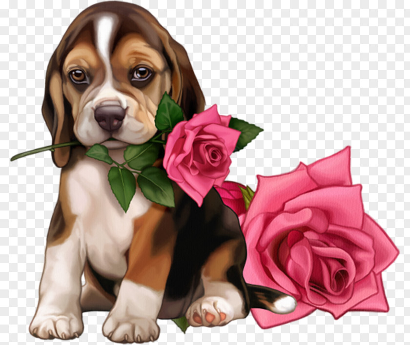 Birthday Greeting & Note Cards Ansichtkaart Dog My World@Mail.Ru PNG