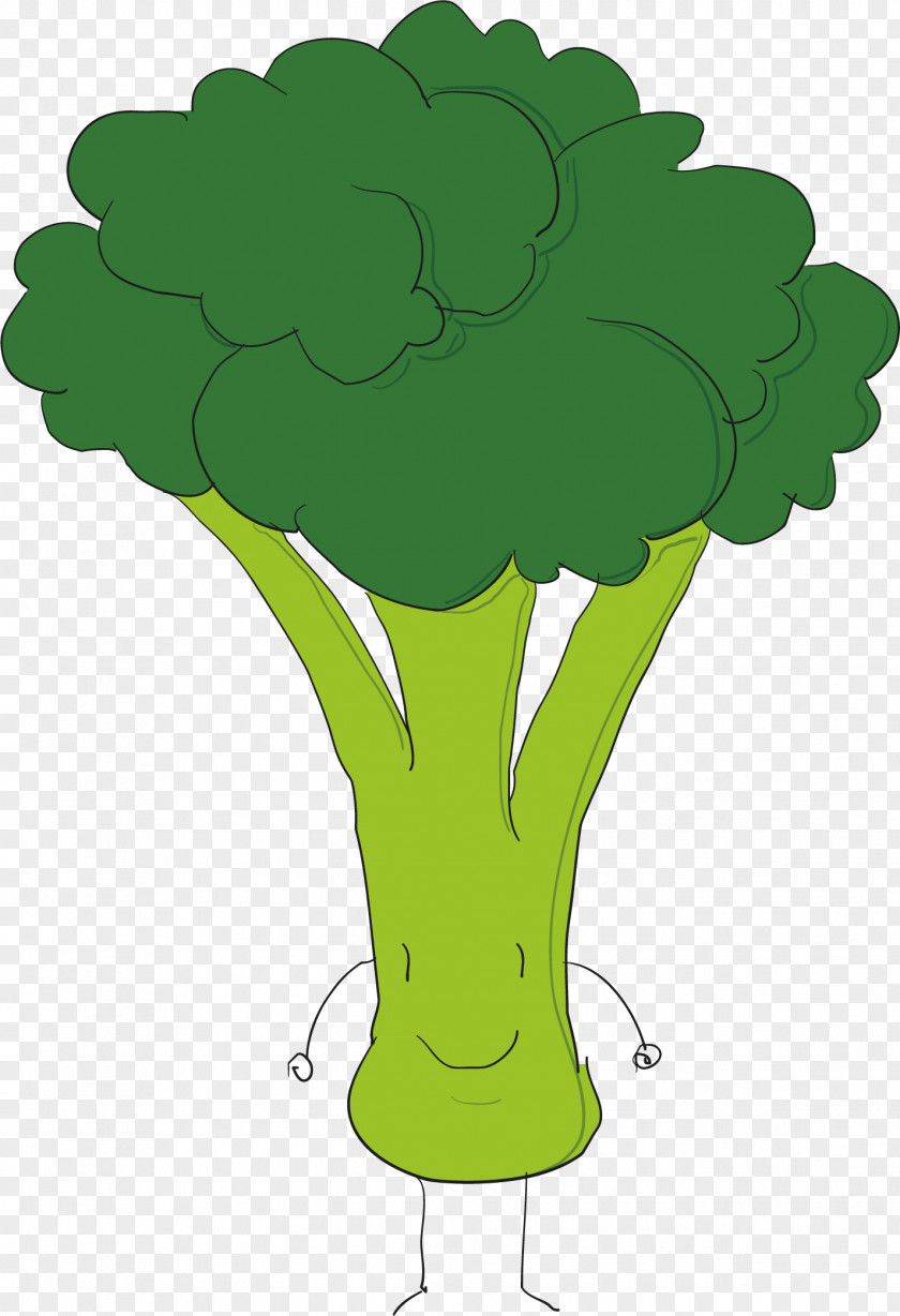 Broccoli Vector Euclidean PNG