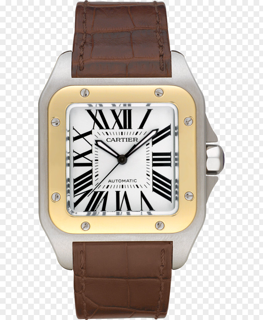 Cartier Watch Santos 100 Automatic PNG