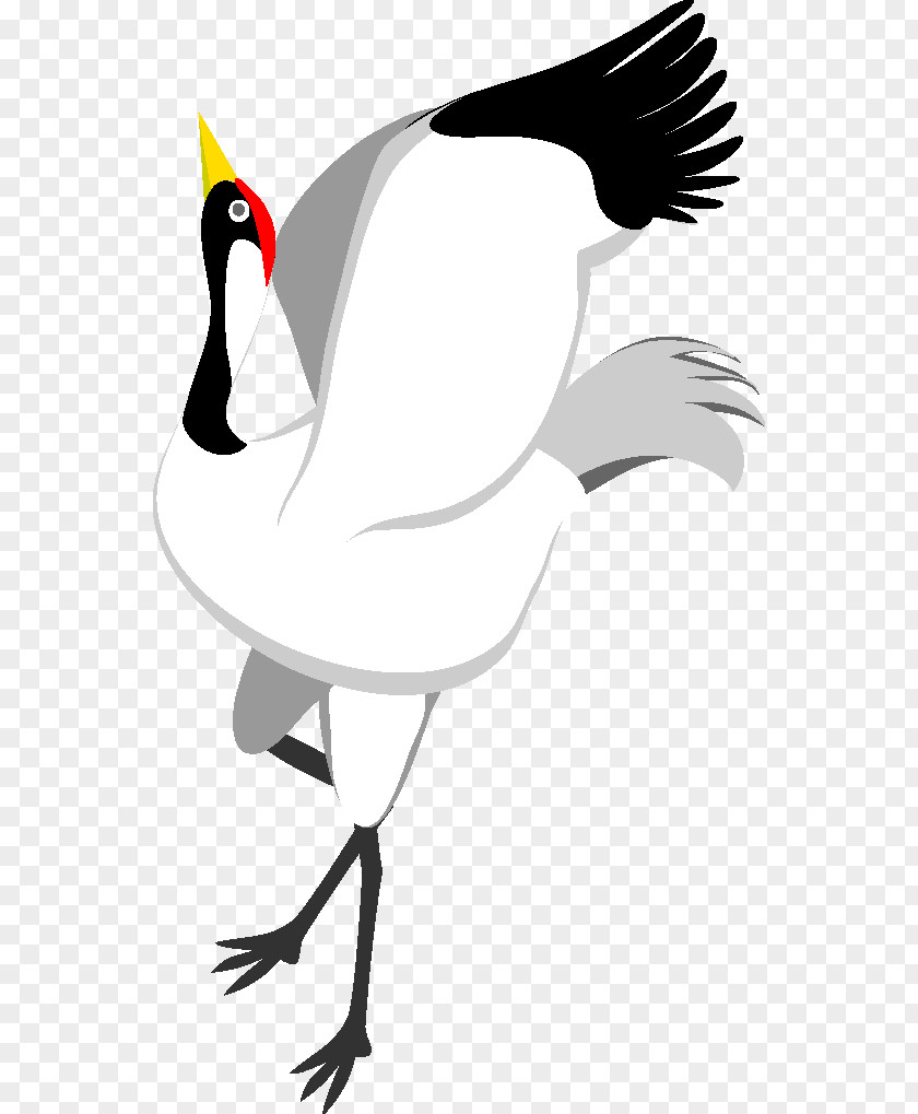 Kleinbild Film Black And White Duck Red-crowned Crane Clip Art PNG