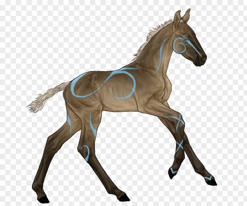 Spirit Horse Mustang Foal Appaloosa Stallion Mare PNG