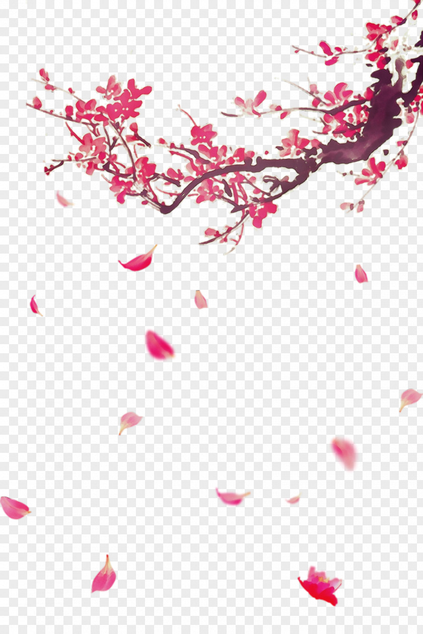 Twig Magenta Cherry Blossom PNG
