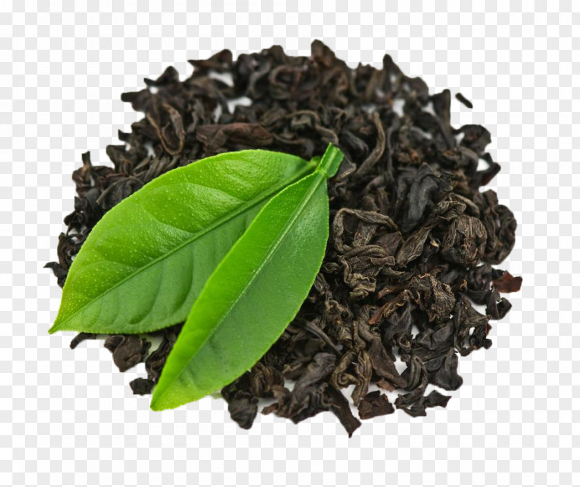 Green Tea Black Thai White PNG