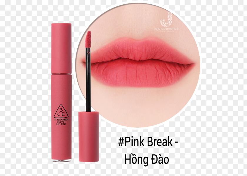 Lipstick Red Color Hồng đất Orange PNG