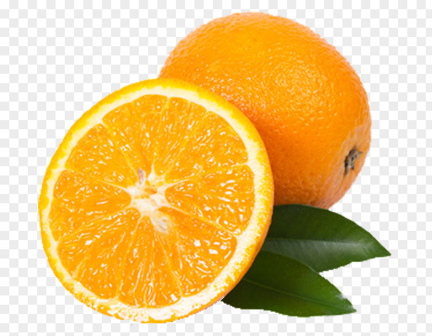 Orange Pop Blood Tangerine Fizzy Drinks Carrot Mandarin PNG