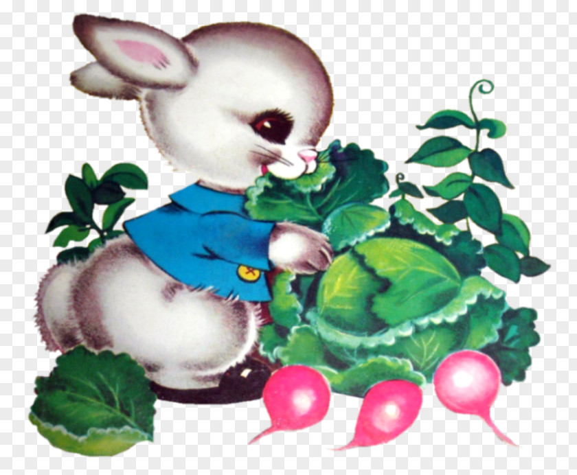Peter Rabbit The Tale Of Easter Bunny Cottontail PNG