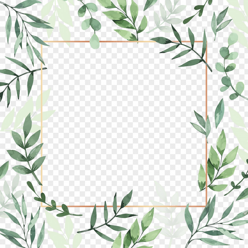 Picture Frame PNG