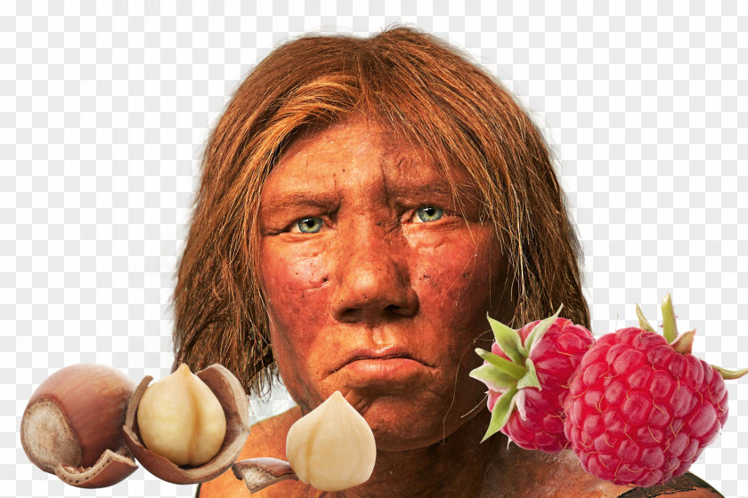 Science Neandertal Homo Sapiens Illustrated Karijoki PNG