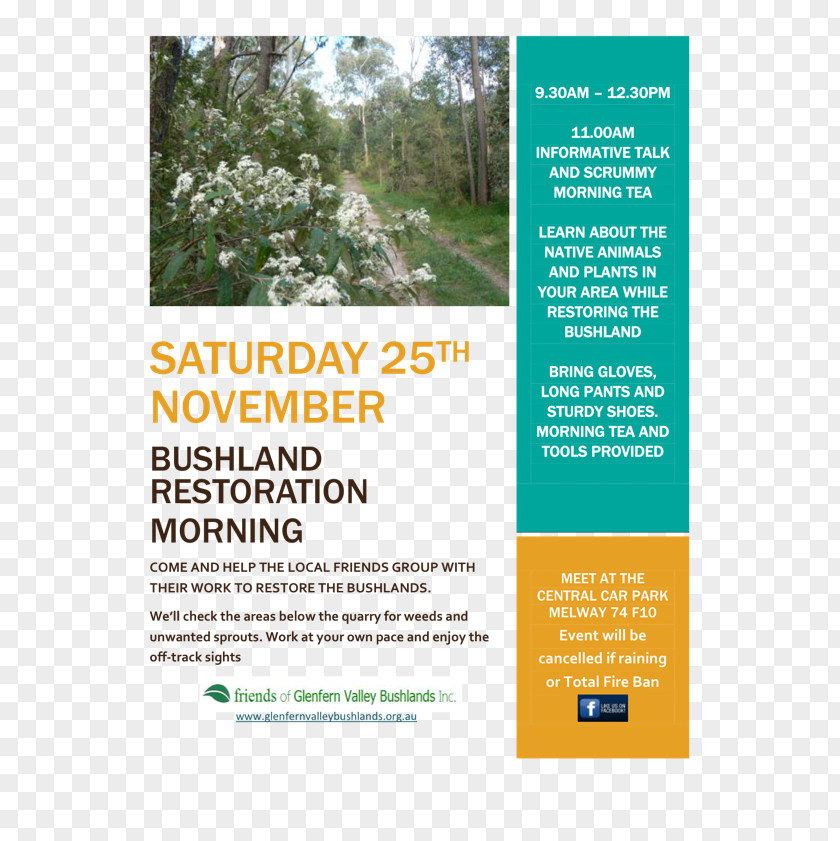 Working Flyers Glenfern Valley Bushlands Bee Tree Road Shrub PNG