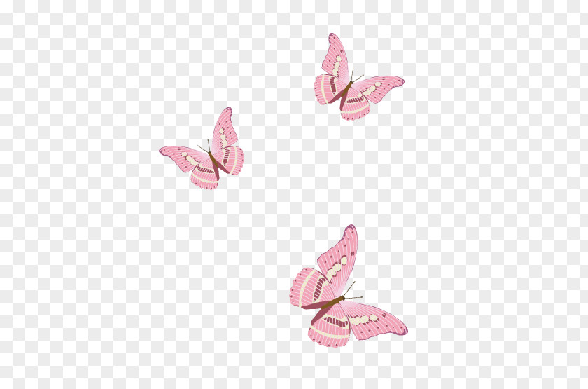 Butterfly Elements, Hong Kong Pink PNG