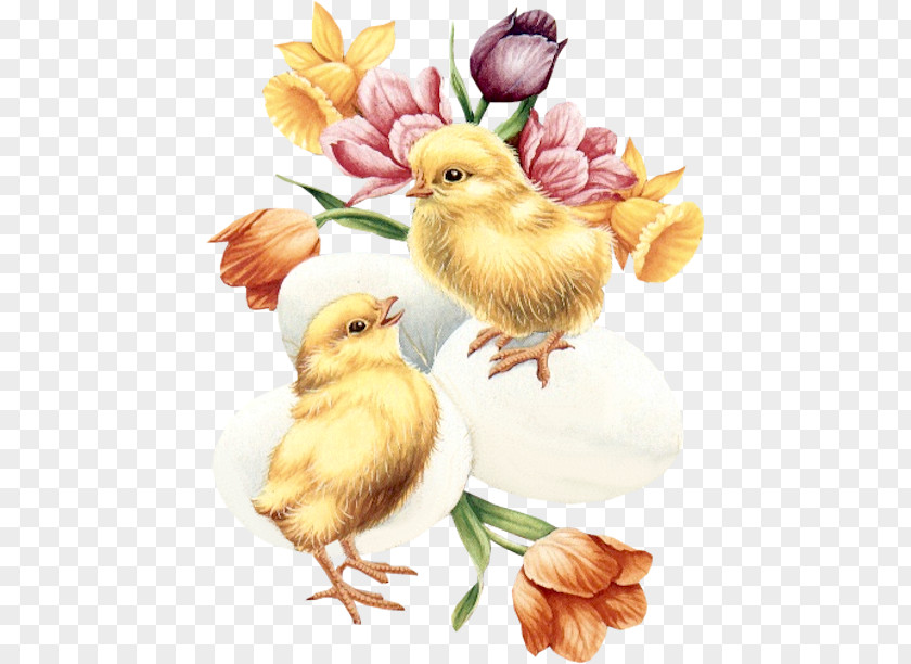Chick Easter Greeting Card Victorian Era Clip Art PNG