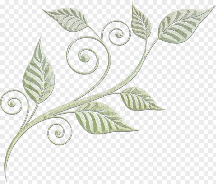 Design Decorative Arts Vector Graphics Drawing Ornament PNG