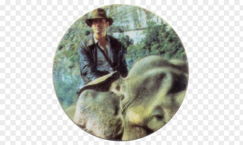 Elephant Ride Indiana Jones Adventure Film Producer PNG