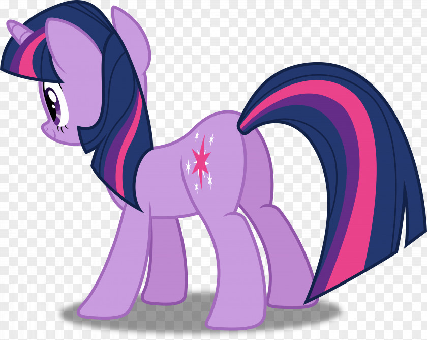 My Little Pony Twilight Sparkle Rainbow Dash Pinkie Pie Rarity PNG